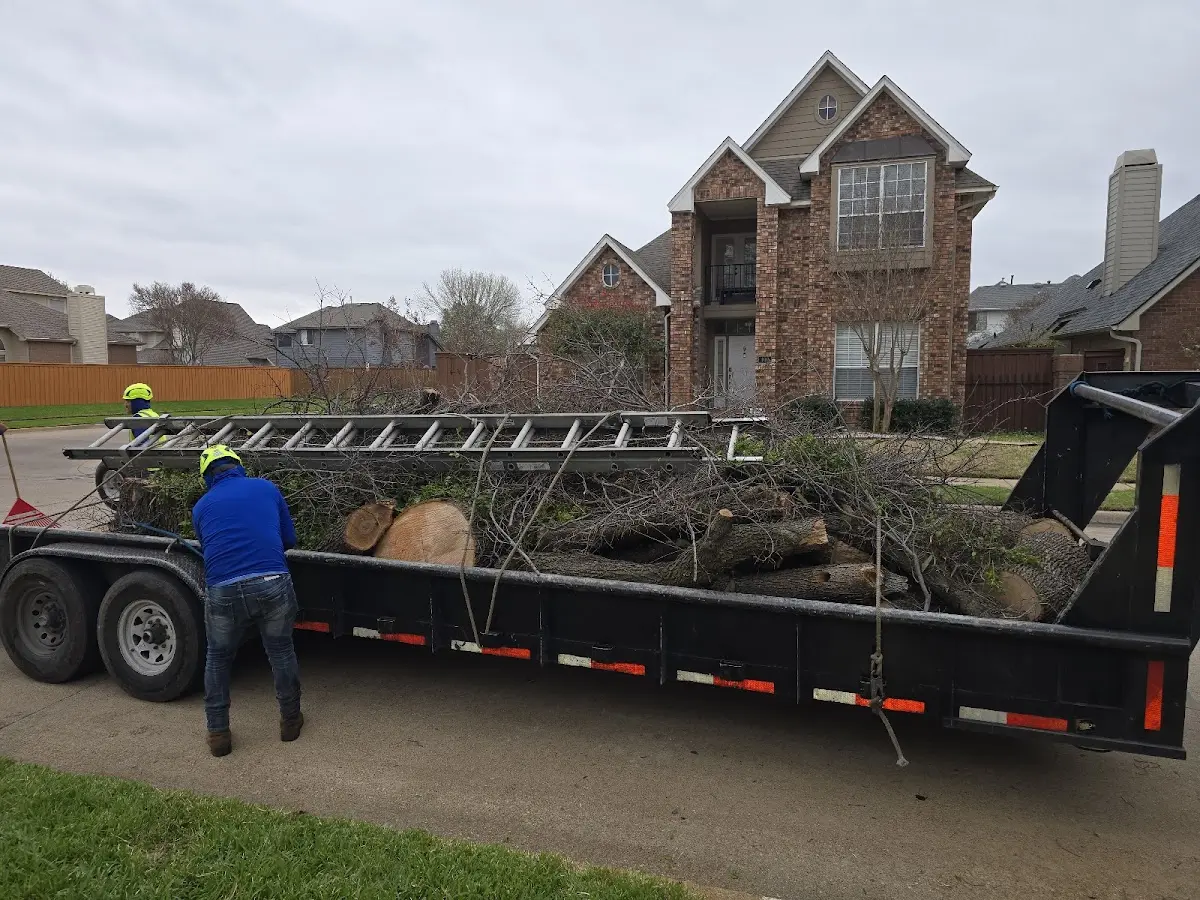 Expert Tree Fertilization with proper safety equipment in Samson